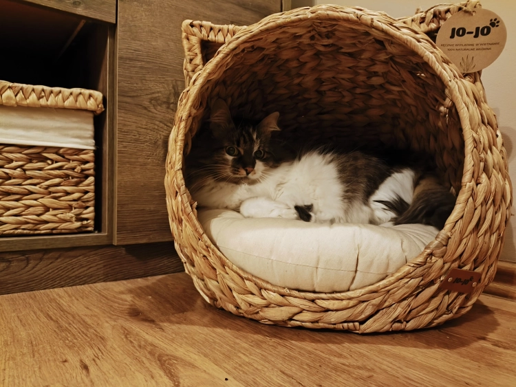 Legowisko z hiacyntu wodnego z kotem w środku. Zdjęcie prezentuje splot naturalnego włókna oraz detale marki Jo-Jo. Domek stoi na drewnianej podłodze obok pasujących koszy do przechowywania.